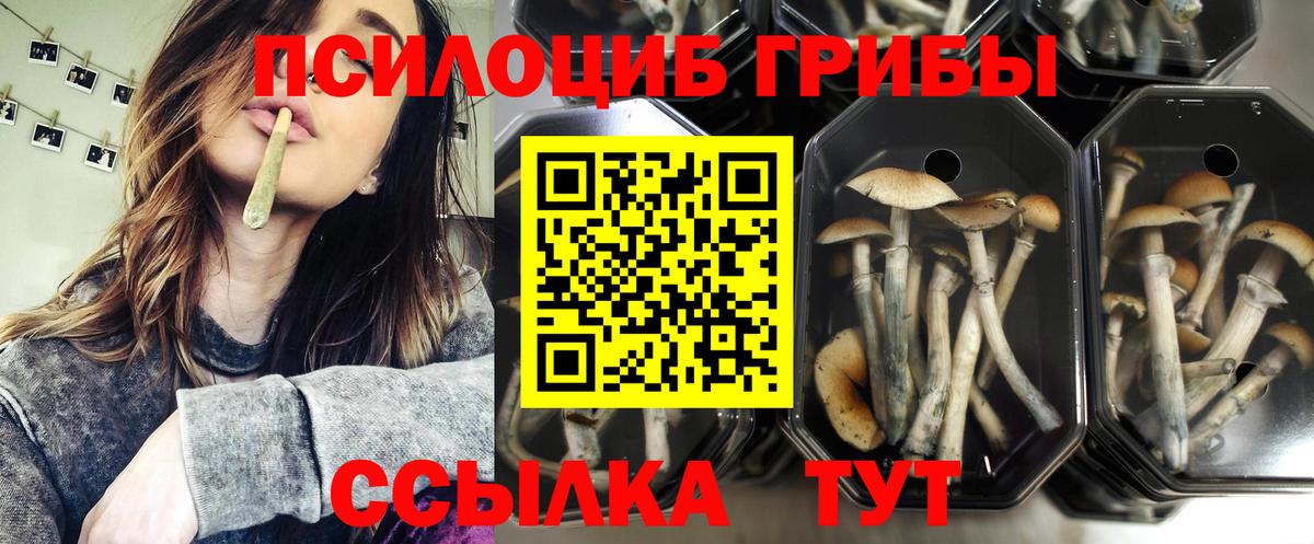даркнет сайт  Псилоцибиновые грибы Psilocybe  Щёлково  Вход с VPN  Галлюциногенные грибы мухоморы 
